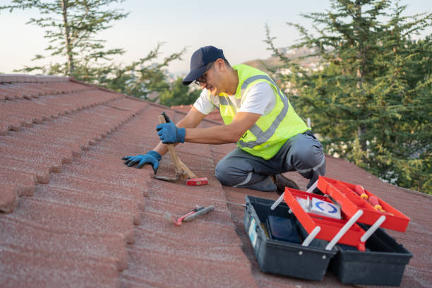 Best Gutter Installation and Roofing  in Tyrone, GA